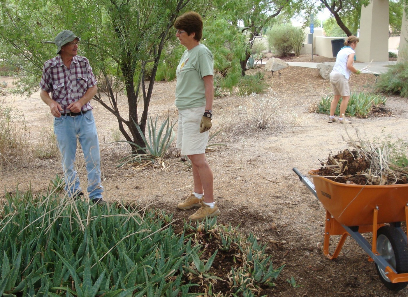 A volunteer coordinator talking with a volunteer in a desert garden, a wheelbarrow of cuttings beside them
